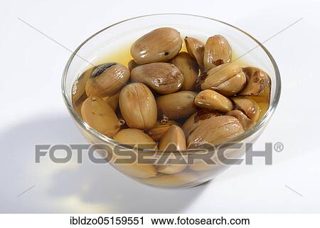 Water acorns, English oak, English oak (Quercus robur), acorn kernels, removal of tannic acid View Large Photo Image Stock Image - Water acorns, English oak, English oak (Quercus robur), acorn kernels, removal of tannic acid. Fotosearch