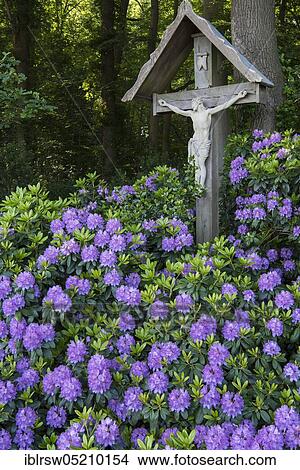 Picture - Way Cross, Hof Cross, Hof Quatmann, Elsten, Lower Saxony, Germany, Europe. Fotosearch