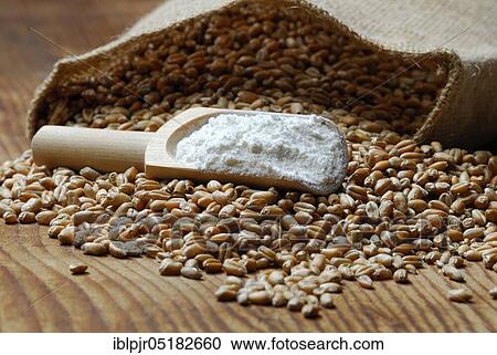 Stock Image - Wheat, Grains, Flour ( Triticum aestivum), Flour. Fotosearch