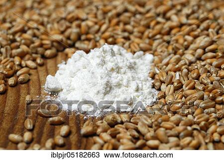 Stock Image - Wheat, Grains, Flour ( Triticum aestivum), Flour. Fotosearch