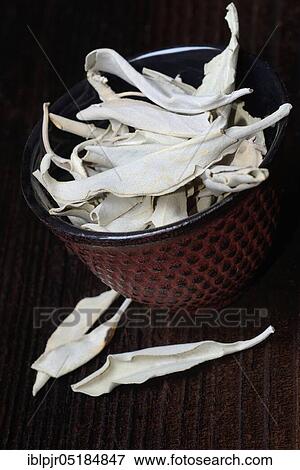 White sage ( Salvia apiana) View Large Photo Image Stock Photo - White sage ( Salvia apiana). Fotosearch