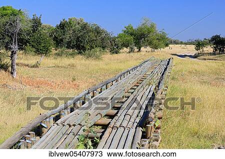 Stock Image - Wooden bridge, floodplain, Okavango Delta, Botswana, Africa. Fotosearch