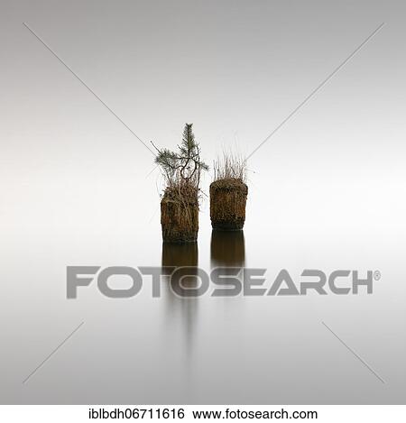 Stock Photograph - Wooden piles of an old jetty in Klein Köriser See in Brandenburg, 2021, Germany, Europe. Fotosearch