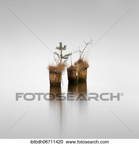 Wooden piles of an old jetty in the Klein Köriser See in Brandenburg, Germany, Europe View Large Photo Image Stock Image - Wooden piles of an old jetty in the Klein Köriser See in Brandenburg, Germany, Europe. Fotosearch