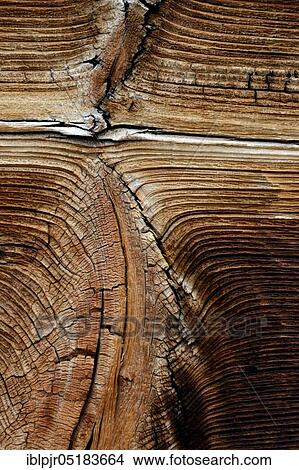 Picture - Wooden structure, weathered wood on wooden house, Riederalp, Valais, Switzerland, Europe. Fotosearch