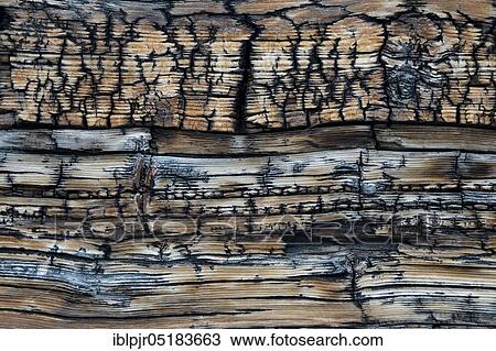 Stock Image - Wooden structure, weathered wood on wooden house, Riederalp, Valais, Switzerland, Europe. Fotosearch