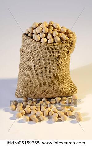 Yellow peas (Pisum sativum), pea, yellow peas View Large Photo Image Stock Photography - Yellow peas (Pisum sativum), pea, yellow peas. Fotosearch