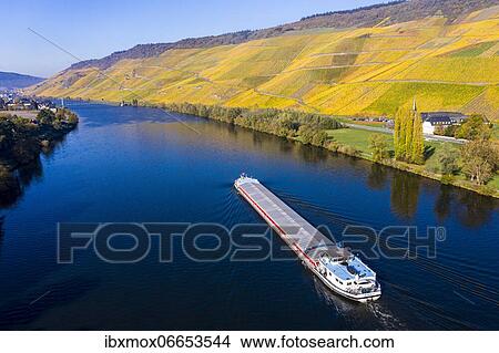 Aerial view, vineyards in autumn, Graach, Bernkastel-Kues region, Moselle, Rhineland-Palatinate, Germany, Europe View Large Photo Image Picture - Aerial view, vineyards in autumn, Graach, Bernkastel-Kues region, Moselle, Rhineland-Palatinate, Germany, Europe. Fotosearch