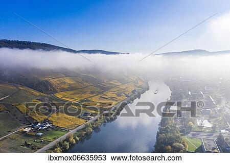 Aerial view, vineyards in autumn, Graach, Bernkastel-Kues region, Moselle, Rhineland-Palatinate, Germany, Europe View Large Photo Image Stock Image - Aerial view, vineyards in autumn, Graach, Bernkastel-Kues region, Moselle, Rhineland-Palatinate, Germany, Europe. Fotosearch