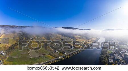 Aerial view, vineyards in autumn, Graach, Bernkastel-Kues region, Moselle, Rhineland-Palatinate, Germany, Europe View Large Photo Image Stock Image - Aerial view, vineyards in autumn, Graach, Bernkastel-Kues region, Moselle, Rhineland-Palatinate, Germany, Europe. Fotosearch