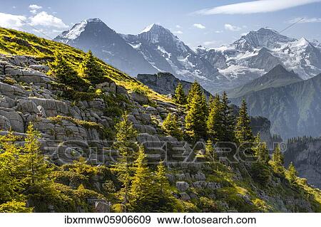Stock Photo - Alpine landscape, Eiger, Mönch and Jungfrau, mountain peaks, Jungfrau region, Grindelwald, Canton Bern, Switzerland, Europe. Fotosearch