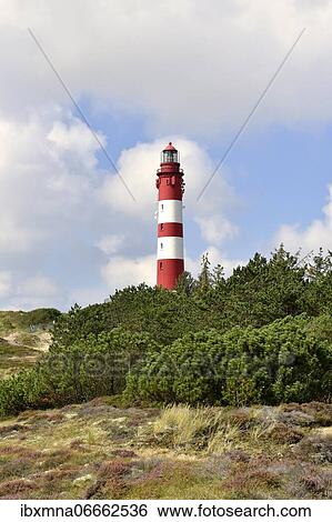 Amrum lighthouse, Amrum, North Frisian Island, North Frisia, Schleswig-Holstein, Germany, Europe View Large Photo Image Stock Photograph - Amrum lighthouse, Amrum, North Frisian Island, North Frisia, Schleswig-Holstein, Germany, Europe. Fotosearch