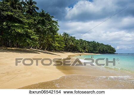 Banana beach, Unesco biosphere reserve, Principe, Sao Tome and Principe, Atlantic Ocean, Africa View Large Photo Image Picture - Banana beach, Unesco biosphere reserve, Principe, Sao Tome and Principe, Atlantic Ocean, Africa. Fotosearch