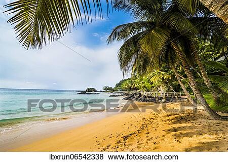 Beautiful beach in the Bom Bom Resort, Unesco Biosphere reserve, Principe, Sao Tome and Principe, Atlantic Ocean, Africa View Large Photo Image Stock Photo - Beautiful beach in the Bom Bom Resort, Unesco Biosphere reserve, Principe, Sao Tome and Principe, Atlantic Ocean, Africa. Fotosearch