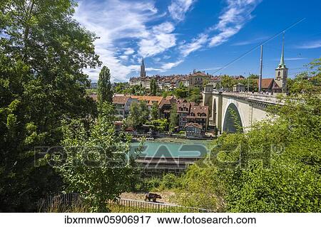Berner Bär im Bärengraben, River Aare, Bernese Old Town, Nydegg Church and Bernese Minster, Nydegg district, Bern, Canton of Bern, Switzerland, Europe View Large Photo Image Stock Photo - Berner Bär im Bärengraben, River Aare, Bernese Old Town, Nydegg Church and Bernese Minster, Nydegg district, Bern, Canton of Bern, Switzerland, Europe. Fotosearch