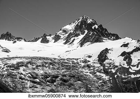 Black and white, Glacier du Tour, glacier in front of summit of Aiguille du Chardonnet, Chamonix, Haute-Savoie, France, Europe View Large Photo Image Picture - Black and white, Glacier du Tour, glacier in front of summit of Aiguille du Chardonnet, Chamonix, Haute-Savoie, France, Europe. Fotosearch