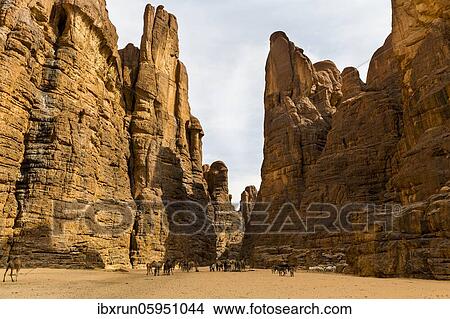 Camels, bizarre rocks, Ouinimia amphitheater, Unesco world heritage, Ennedi plateau, Chad, Africa View Large Photo Image Picture - Camels, bizarre rocks, Ouinimia amphitheater, Unesco world heritage, Ennedi plateau, Chad, Africa. Fotosearch