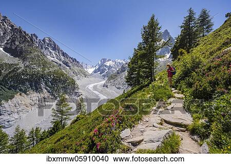Climber on hiking trail, Grand Balcon Nord, glacier tongue Mer de Glace, behind Grandes Jorasses, Mont Blanc massif, Chamonix, France, Europe View Large Photo Image Stock Image - Climber on hiking trail, Grand Balcon Nord, glacier tongue Mer de Glace, behind Grandes Jorasses, Mont Blanc massif, Chamonix, France, Europe. Fotosearch