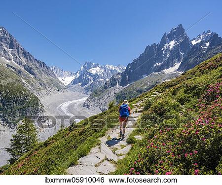 Climber on hiking trail, Grand Balcon Nord, glacier tongue Mer de Glace, behind Grandes Jorasses, Mont Blanc massif, Chamonix, France, Europe View Large Photo Image Stock Photograph - Climber on hiking trail, Grand Balcon Nord, glacier tongue Mer de Glace, behind Grandes Jorasses, Mont Blanc massif, Chamonix, France, Europe. Fotosearch