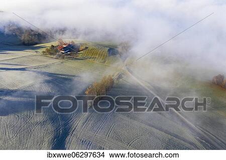 Picture - Country road through agricultural landscape covered with hoarfrost in morning fog, from above, drone shot, aerial view, Mondseeland, Salzkammergut, Upper Austria, Austria, Europe. Fotosearch