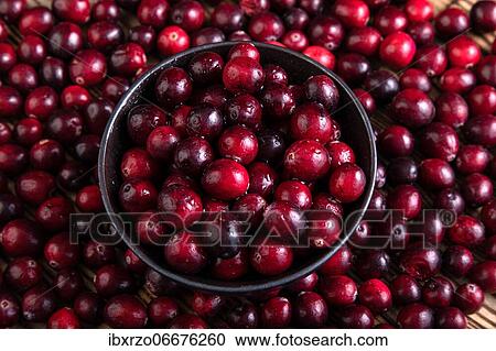 Stock Image - Cranberries in a bowl. Fotosearch