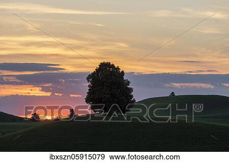 Drumlins, glacially formed hills of the last ice age, Menzingen, Canton Zug, Switzerland, Europe View Large Photo Image Stock Photo - Drumlins, glacially formed hills of the last ice age, Menzingen, Canton Zug, Switzerland, Europe. Fotosearch