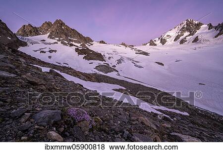 Evening mood, Glacier du Tour, Glacier and mountain peaks, High alpine landscape, Tête Blanche, Petite and Grande Fourche on the left, Aiguille du Chardonnet on the right, Chamonix, Haute-Savoie, France, Europe View Large Photo Image Stock Photo - Evening mood, Glacier du Tour, Glacier and mountain peaks, High alpine landscape, Tête Blanche, Petite and Grande Fourche on the left, Aiguille du Chardonnet on the right, Chamonix, Haute-Savoie, France, Europe. Fotosearch