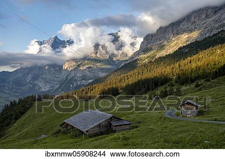 Evening mood, mountain huts, alpine pasture, Pfingstegg, behind the summit of the Wetterhorn, Jungfrau region, Grindelwald, Bern, Switzerland, Europe View Large Photo Image Picture - Evening mood, mountain huts, alpine pasture, Pfingstegg, behind the summit of the Wetterhorn, Jungfrau region, Grindelwald, Bern, Switzerland, Europe. Fotosearch
