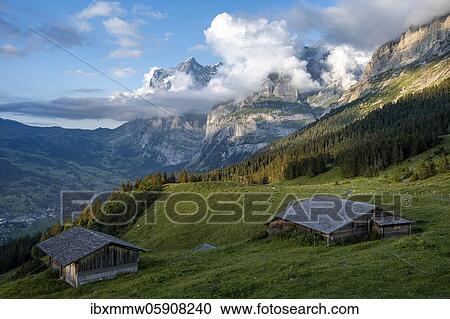 Evening mood, mountain huts, alpine pasture, Pfingstegg, behind the summit of the Wetterhorn, Jungfrau region, Grindelwald, Bern, Switzerland, Europe View Large Photo Image Stock Image - Evening mood, mountain huts, alpine pasture, Pfingstegg, behind the summit of the Wetterhorn, Jungfrau region, Grindelwald, Bern, Switzerland, Europe. Fotosearch