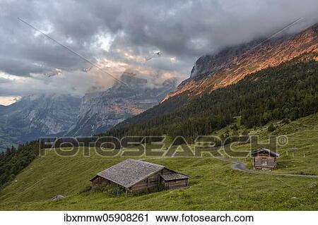 Evening mood, mountain huts, alpine pasture, Pfingstegg, behind the summit of the Wetterhorn, Jungfrau region, Grindelwald, Bern, Switzerland, Europe View Large Photo Image Stock Image - Evening mood, mountain huts, alpine pasture, Pfingstegg, behind the summit of the Wetterhorn, Jungfrau region, Grindelwald, Bern, Switzerland, Europe. Fotosearch