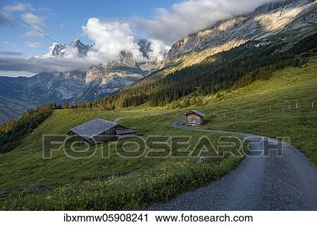 Stock Image - Evening mood, path leads to mountain huts, alpine pasture, Pfingstegg, behind the summit of the Wetterhorn, Jungfrau region, Grindelwald, Bern, Switzerland, Europe. Fotosearch