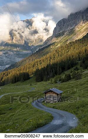 Evening mood, path leads to mountain hut, alpine pasture, Pfingstegg, behind the summit of the Wetterhorn, Jungfrau region, Grindelwald, Bern, Switzerland, Europe View Large Photo Image Stock Photo - Evening mood, path leads to mountain hut, alpine pasture, Pfingstegg, behind the summit of the Wetterhorn, Jungfrau region, Grindelwald, Bern, Switzerland, Europe. Fotosearch