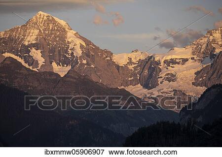 Evening mood, view of mountain peaks, Mönch and Jungfraujoch, Jungfraufirn glacier, Jungfrau region, Grindelwald, Bern, Switzerland, Europe View Large Photo Image Stock Photo - Evening mood, view of mountain peaks, Mönch and Jungfraujoch, Jungfraufirn glacier, Jungfrau region, Grindelwald, Bern, Switzerland, Europe. Fotosearch