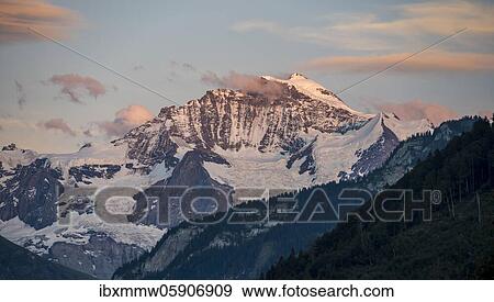 Evening mood, view of mountain peaks, Jungfrau and Jungfraujoch, Jungfraufirn glacier, Jungfrau region, Grindelwald, Bern, Switzerland, Europe View Large Photo Image Stock Photo - Evening mood, view of mountain peaks, Jungfrau and Jungfraujoch, Jungfraufirn glacier, Jungfrau region, Grindelwald, Bern, Switzerland, Europe. Fotosearch