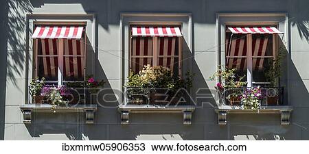 Facade of a house, windows with flower pots and awnings, Bernese Old Town, Inner City, Bern, Canton of Bern, Switzerland, Europe View Large Photo Image Stock Image - Facade of a house, windows with flower pots and awnings, Bernese Old Town, Inner City, Bern, Canton of Bern, Switzerland, Europe. Fotosearch