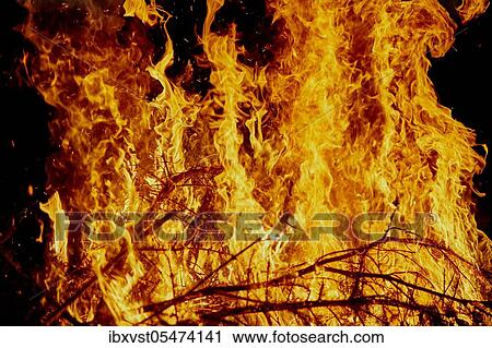 Fire, burning dry trees, Germany, Europe View Large Photo Image Stock Image - Fire, burning dry trees, Germany, Europe. Fotosearch