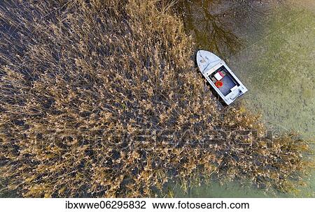 Stock Image - Fishing boat at the reed belt of the Irrsee, from above, drone photo, aerial view, Zell am moss, Mondseeland, Salzkammergut, Upper Austria, Austria, Europe. Fotosearch