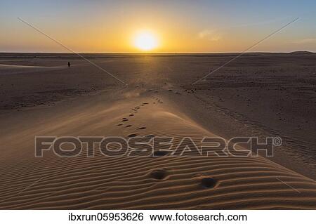 Footsteps in a sand dune at sunset, Sahara, Northern North of Chad View Large Photo Image Stock Photograph - Footsteps in a sand dune at sunset, Sahara, Northern North of Chad. Fotosearch