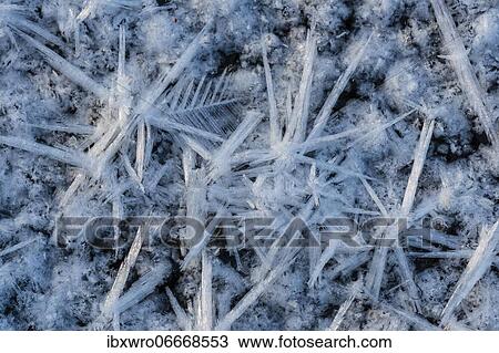 Forms of ice in a puddle, ice crystals, frost, winter, Goldenstedter Moor, Lower Saxony, Germany, Europe View Large Photo Image Stock Image - Forms of ice in a puddle, ice crystals, frost, winter, Goldenstedter Moor, Lower Saxony, Germany, Europe. Fotosearch