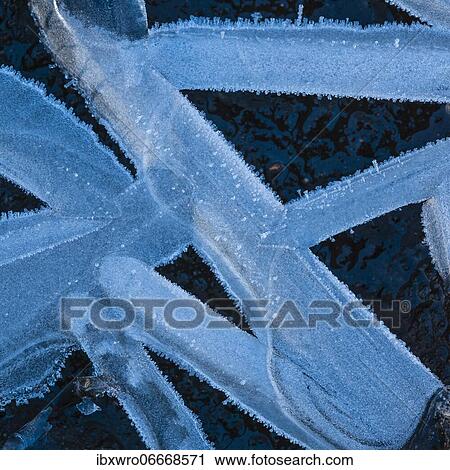 Stock Image - Forms of ice in a puddle, ice crystals, frost, winter, Goldenstedter Moor, Germany, Europe. Fotosearch