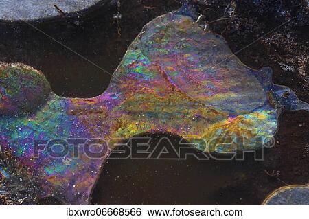 Stock Photograph - Forms of ice in a puddle, ice crystals, frost, winter, Goldenstedter Moor, Germany, Europe. Fotosearch