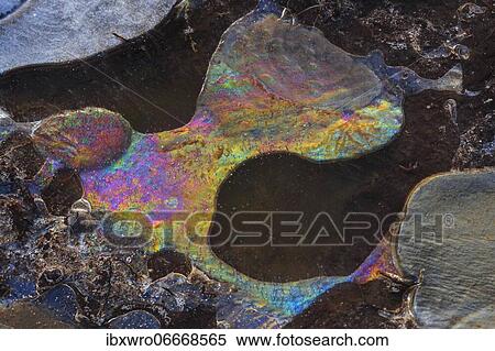 Forms of ice in a puddle, ice crystals, frost, winter, Goldenstedter Moor, Germany, Europe View Large Photo Image Stock Photography - Forms of ice in a puddle, ice crystals, frost, winter, Goldenstedter Moor, Germany, Europe. Fotosearch