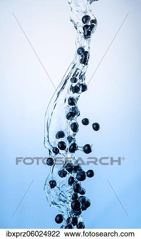 Fresh blueberries in the water jet with water splashes in the air, ihell blue background View Large Photo Image Stock Image - Fresh blueberries in the water jet with water splashes in the air, ihell blue background. Fotosearch