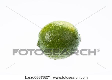 Stock Image - Fresh lime with water droplets, white background. Fotosearch