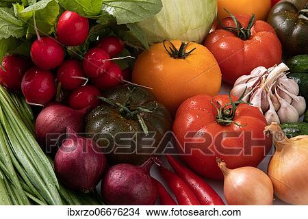 Fresh vegetables with water drops, tomatoes, onion, radish View Large Photo Image Picture - Fresh vegetables with water drops, tomatoes, onion, radish. Fotosearch