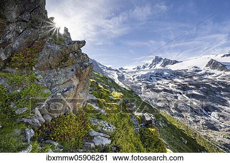 Glacier du Tour, Glacier and mountain peaks, High alpine landscape, Aiguille de Chardonnet, Chamonix, Haute-Savoie, France, Europe View Large Photo Image Stock Image - Glacier du Tour, Glacier and mountain peaks, High alpine landscape, Aiguille de Chardonnet, Chamonix, Haute-Savoie, France, Europe. Fotosearch