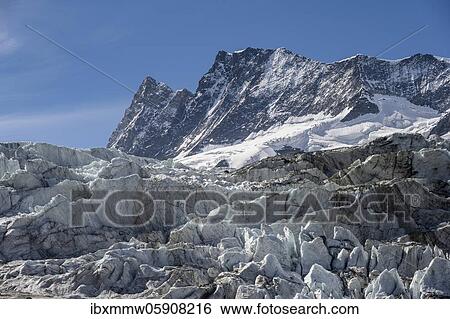 Glacier field, glacier Unteres Eismeer and summit of Finsteraarhorn, hike to Schreckhornhütte, Jungfrau region, Grindelwald, Canton Bern, Switzerland, Europe View Large Photo Image Stock Photograph - Glacier field, glacier Unteres Eismeer and summit of Finsteraarhorn, hike to Schreckhornhütte, Jungfrau region, Grindelwald, Canton Bern, Switzerland, Europe. Fotosearch