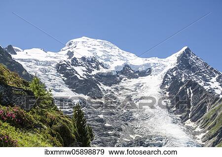 Glacier, Glacier de Taconnaz, summit of Mont Blanc and Aiguille de Bionnassay, right Mont Blanc, Chamonix, Haute-Savoie, France, Europe View Large Photo Image Stock Photo - Glacier, Glacier de Taconnaz, summit of Mont Blanc and Aiguille de Bionnassay, right Mont Blanc, Chamonix, Haute-Savoie, France, Europe. Fotosearch