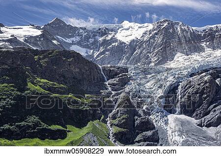 Glacier Grindelwald-Fieschergletscher and summit of Walcherhorn, Bernese Oberland, Switzerland, Europe View Large Photo Image Stock Photo - Glacier Grindelwald-Fieschergletscher and summit of Walcherhorn, Bernese Oberland, Switzerland, Europe. Fotosearch
