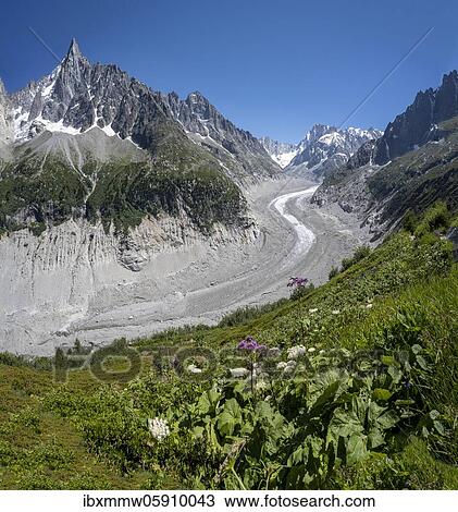 Stock Image - Glacier tongue Mer de Glace, rear Grandes Jorasses, Mont Blanc massif, Chamonix, France, Europe. Fotosearch